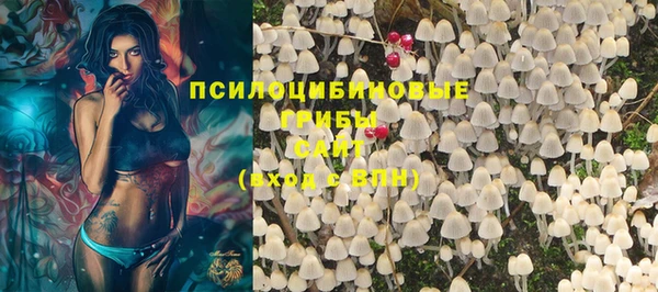 мяу мяу мука Верхний Тагил