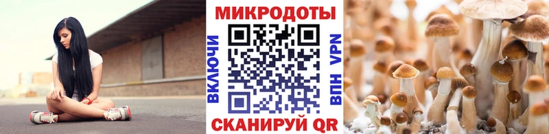 Купить где  Михайловск  Псилоцибиновые грибы Magic Shrooms 